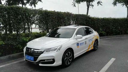 深圳市鑫順安汽車(chē)陪駕服務(wù) - 企業(yè)風(fēng)采 - 換證服務(wù)